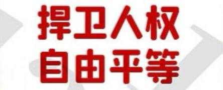 IMAGE 2025-11-11 22:00:30