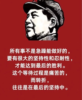 IMAGE 2026-03-24 10:46:23