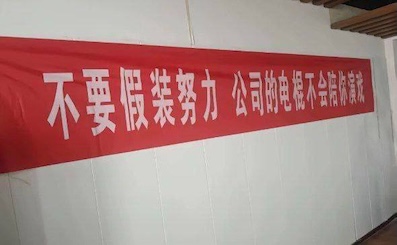 IMAGE 2026-02-06 15:46:51